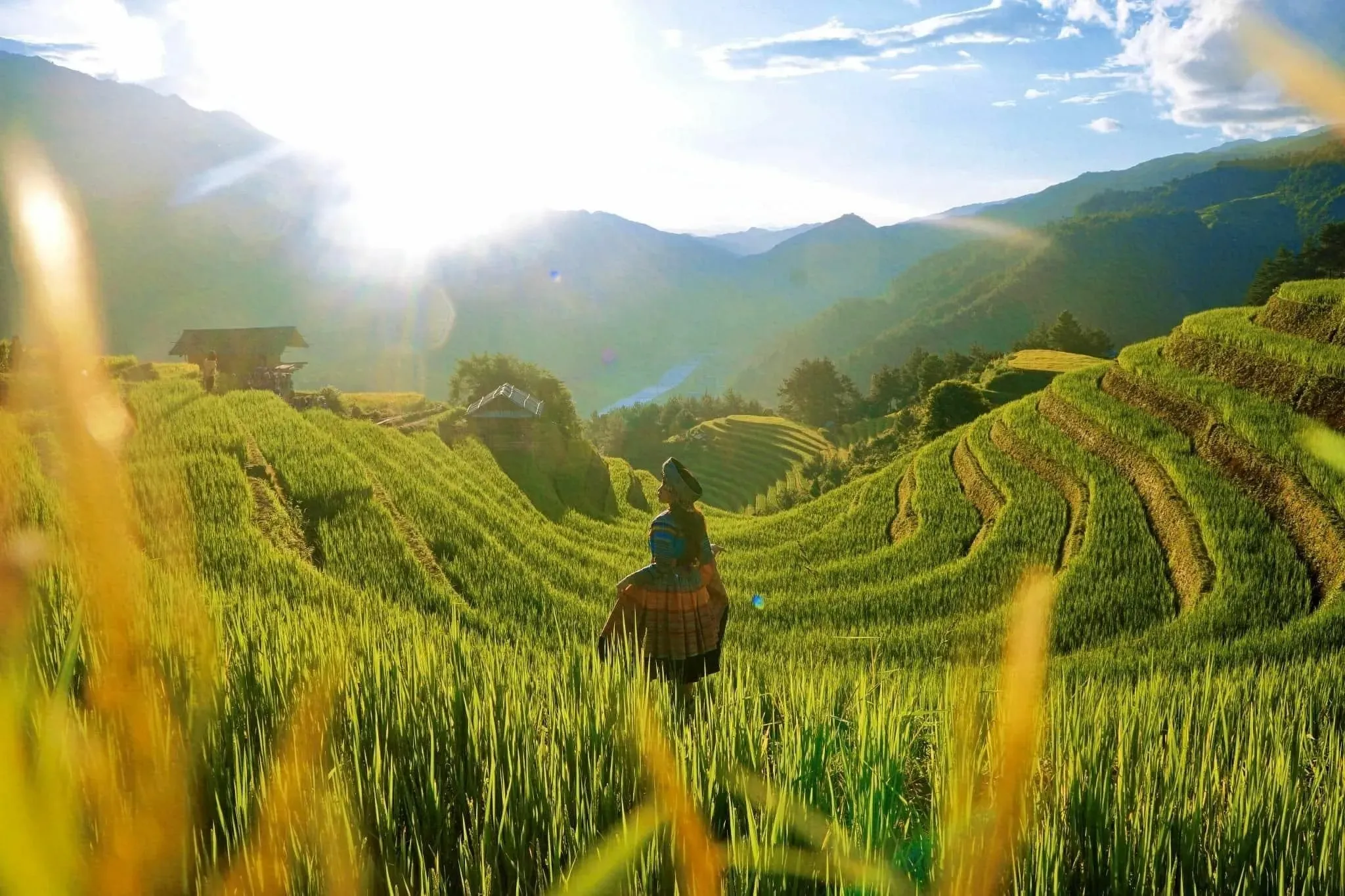 Ruộng bậc thang Mù Cang Chải