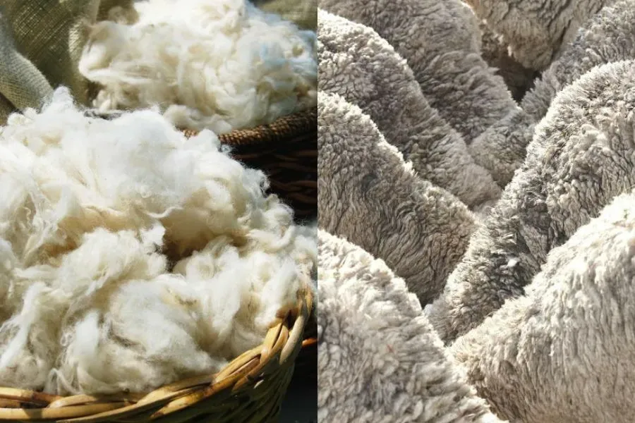 Len từ cừu trưởng thành có độ đàn hồi không cao nhưng sẽ không bị biến dạng khi sử dụng trong thời gian dài