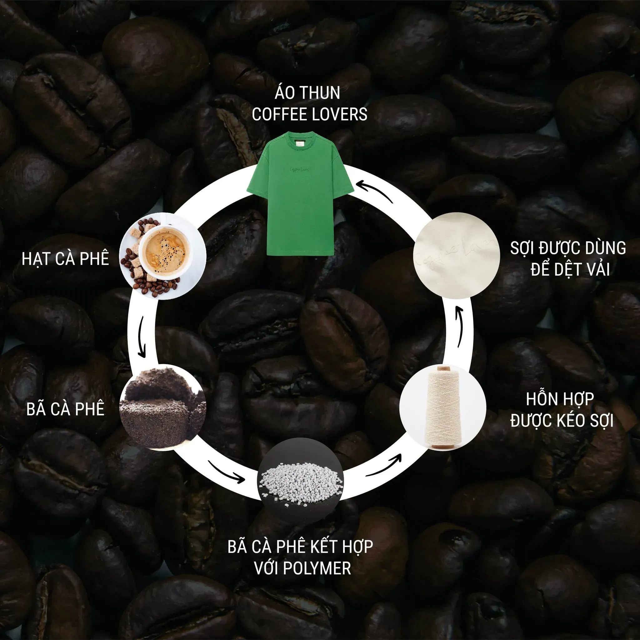 bộ sưu tập coffee lovers