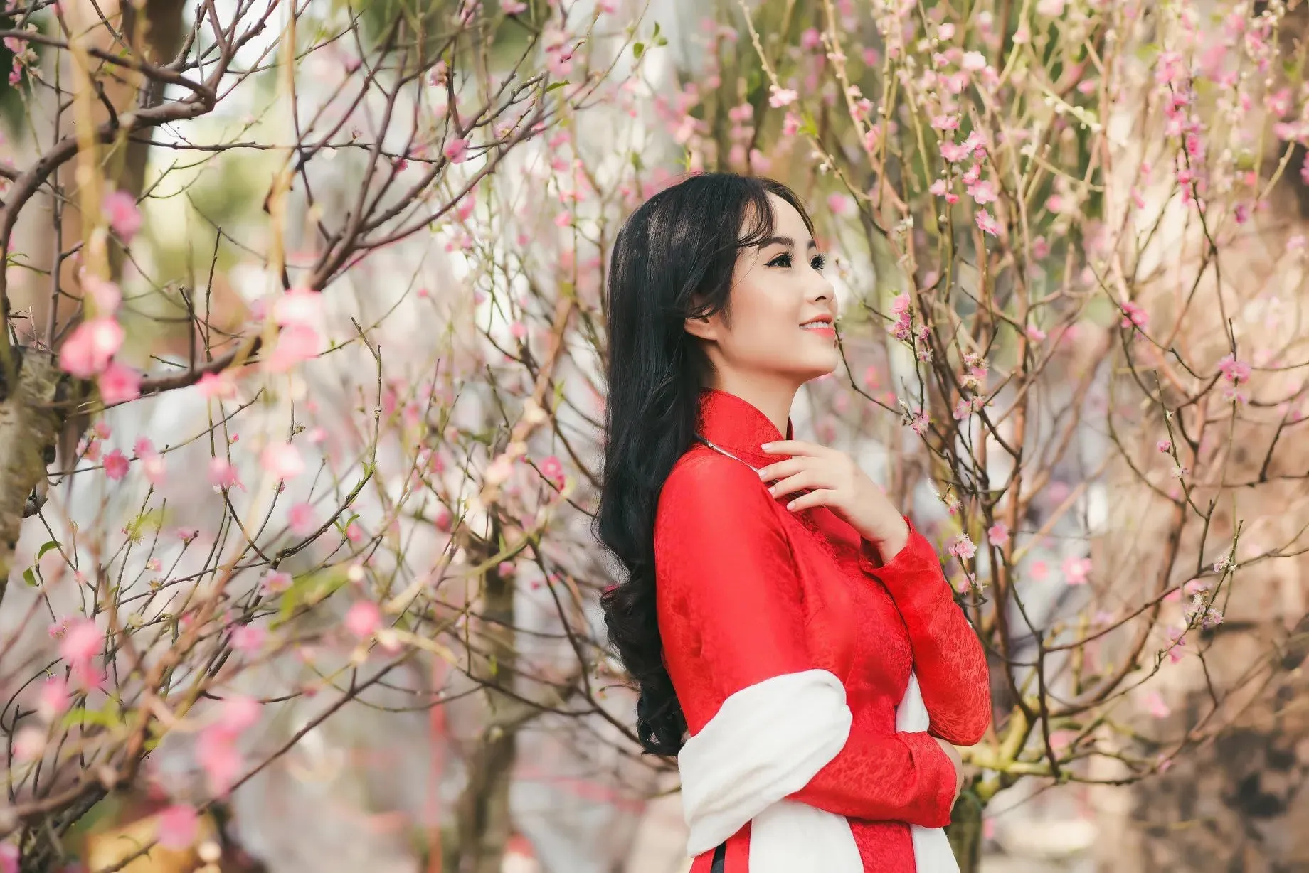 Chụp ảnh áo dài trong vườn đào ngày Tết thật nền nã
