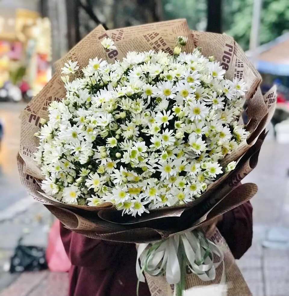 Bó hoa cúc họa mi gửi gắm tình yêu nhẹ nhàng