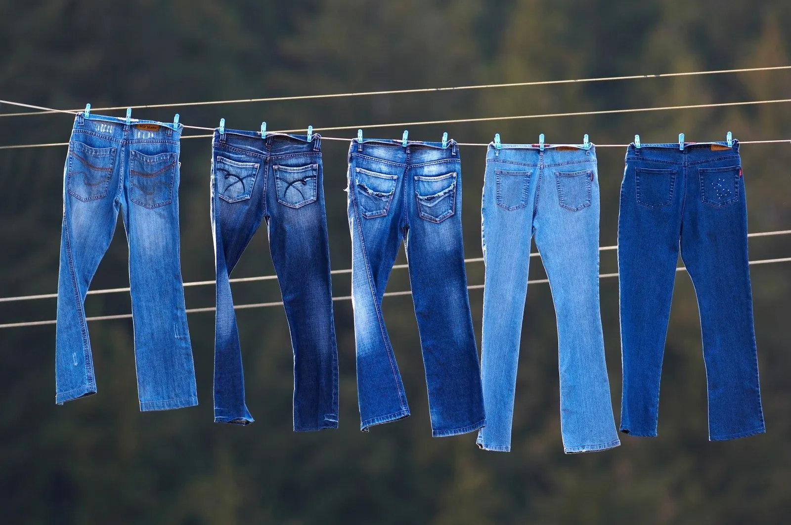 Bạn nên phơi quần jeans ở nơi có bóng râm