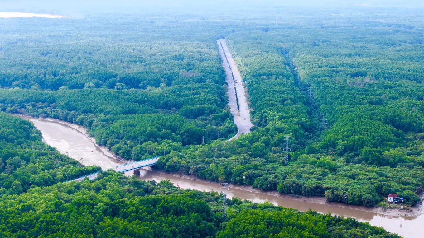Cần Giờ nổi tiếng là “lá phổi xanh” của Sài Gòn