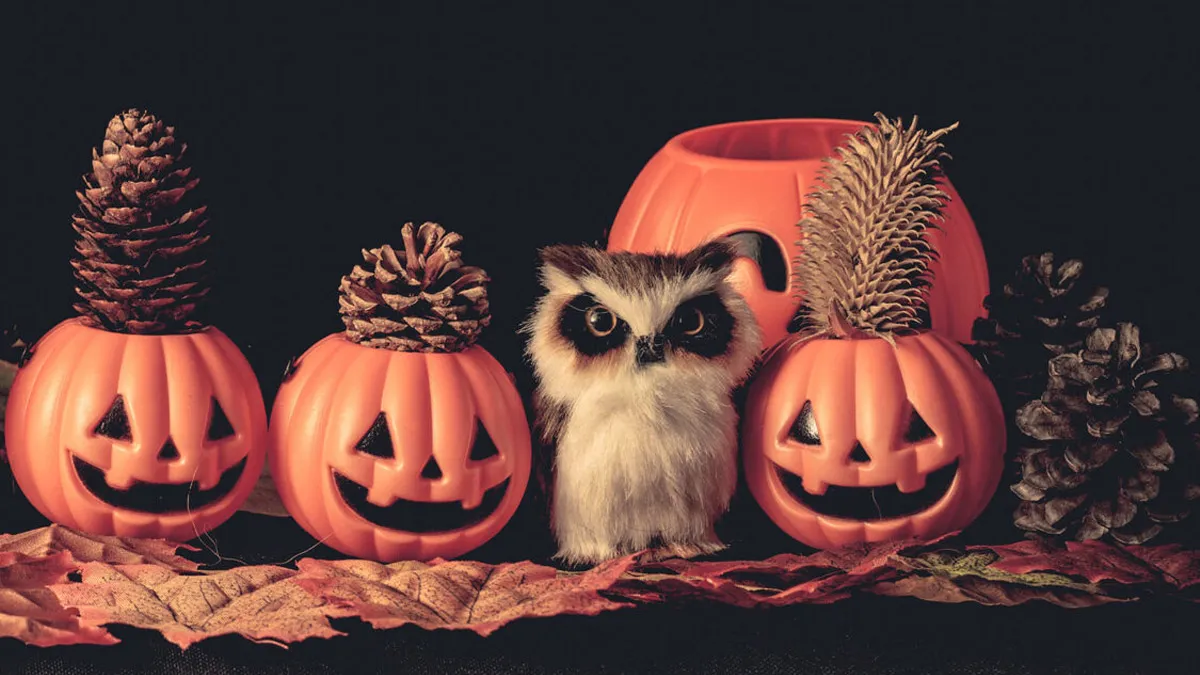 Con cú cũng là một trong những biểu tượng Halloween phổ biến (Nguồn: Internet)