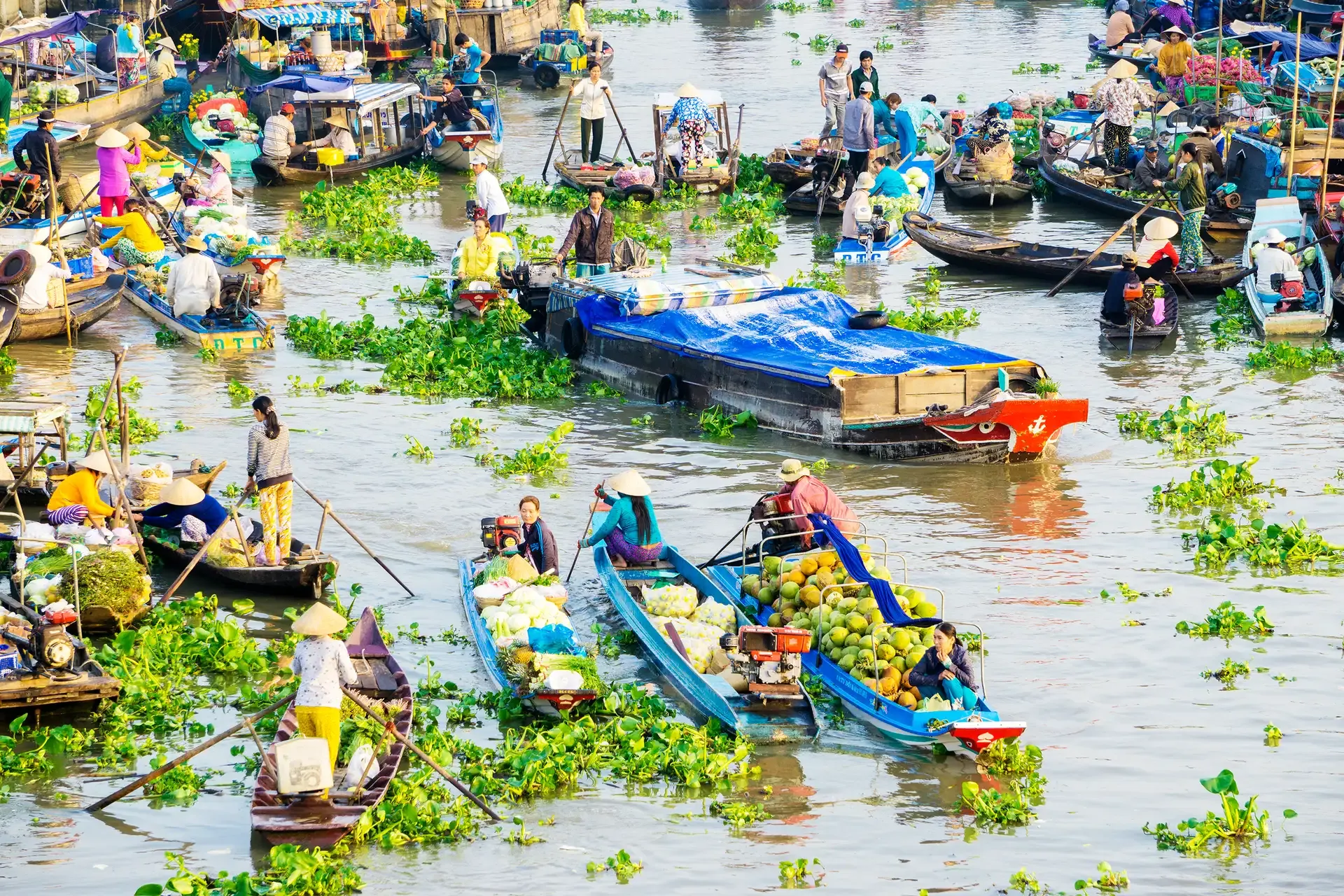 Chợ nổi miền Tây rộn ràng từ sớm, nổi bật giữa khung cảnh sông nước đặc trưng
