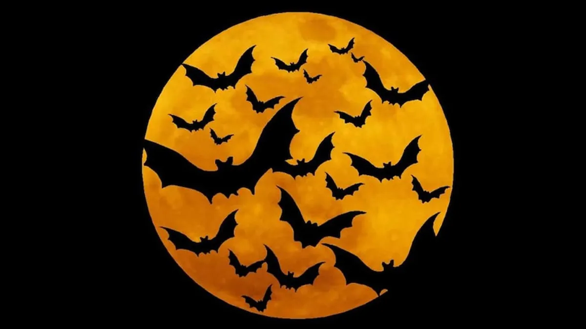 Dơi là hình ảnh quen thuộc trong ngày lễ Halloween (Nguồn: Internet)