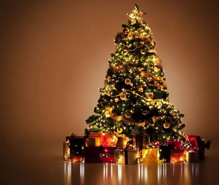 cây thông noel