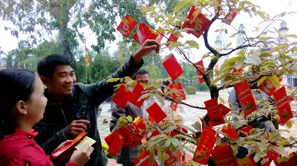 Hái lộc đầu năm là hoạt động không thể thiếu vào mùng 1 hoặc đêm giao thừa