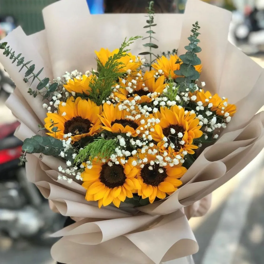 Hoa hướng dương nổi bật với sắc vàng rực rỡ