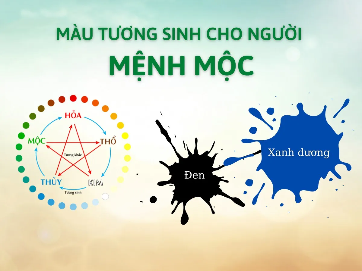 Màu của mệnh Thủy là màu tương sinh của người mệnh Mộc