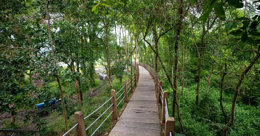 Vườn quốc gia Nam Cát Tiên là địa điểm thu hút nhiều bạn trẻ tham quan