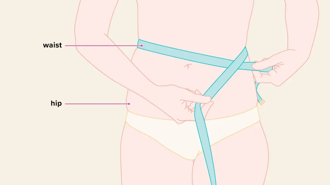 waistline được xem là vòng quanh eo